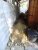 DSC01055.JPG
