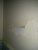 IMG_20140809_103117.jpg