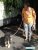 DSC01104.JPG