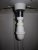 siphon lavabo.JPG