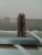 WP_20150718_003.jpg