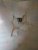 DSC_2056mini.jpg
