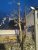 20160413_205649_resized.jpg