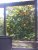 IMG_20160528_152137.jpg