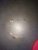 13410683_1179903512061730_424082758_o.jpg