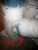 SAVE_20160724_182303.png