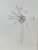 Resized_20170226_171150.jpeg