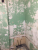 mur.png