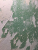 mur 2.png