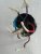 20171003_181318_resized(1).jpg