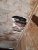 received_1935587589796256.jpeg