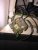 IMG_2862.jpeg