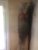 Moisissures.jpg