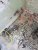 20190616_234418.jpg