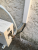 thumbnail_Image-5.png