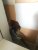 WhatsApp Image 2020-03-20 at 11.29.47 (1).jpeg