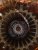 PHOTO 3 - interieur stator vue dessus .jpg