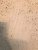 EF701257-11A1-49F0-9156-202B9CBF9E11.jpeg