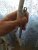 WhatsApp Image 2020-07-02 at 19.25.14.jpeg