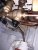 20200923_195104-compressed.jpg