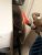 20201108_101455.jpg