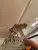 IMG_0970.jpeg