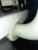 20220106_191301.jpeg