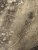 PXL_20220308_142136255.jpg
