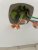 50B948F0-595C-4855-9560-37280BF974FC.jpeg