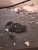 20221215_095635.jpg