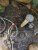 PXL_20230501_123822910_uxtTVwBw9g.jpeg
