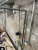 IMG_4708.jpeg