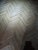 PXL_20231026_194927712.jpg