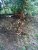 20231030_133325.jpg