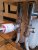 thumbnail_20240115_170129.jpg