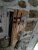 1000002036_edited.jpeg