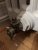 IMG_8448.jpeg