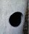 20190322_171608.jpg