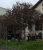 arbre 2.PNG