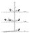 schema.jpg