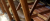 plafond.png