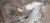 Img2.JPG