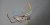 luminaire2.jpg