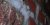 3EC9563B-095F-44A7-AF0B-C61D53598A53.jpeg