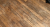 C20DBCD0-72CE-4B1E-BE54-B94CFFB0A58E.png