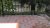 IMAG0568.jpg