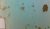 mur_1.jpg