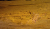 P10203801.gif