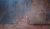 10846692_10152889683502095_2097690795_n.jpg