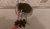 IMAG0429_BURST002.jpg